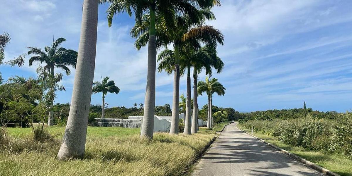 Barbados land for sale Barbados Dream Properties